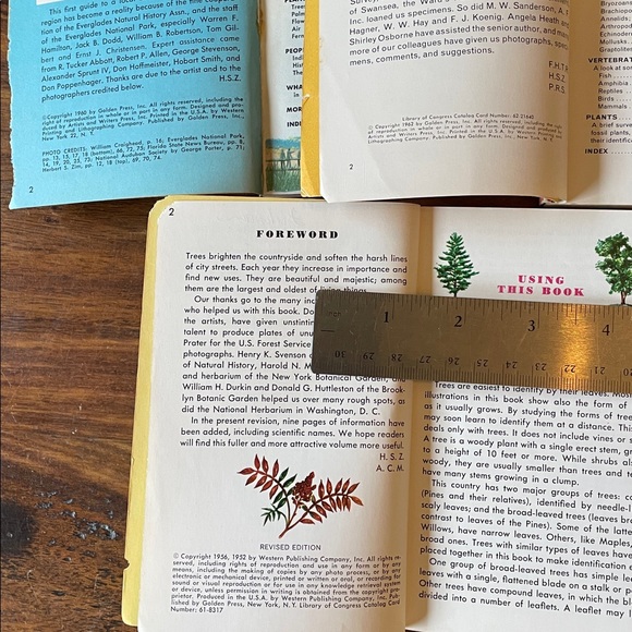 13 GOLDEN GUIDE Vintage Reference Books: Shells Fossils Spiders Trees Rocks MORE - Picture 10 of 15